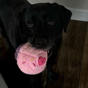 Meet your Posher, Alice